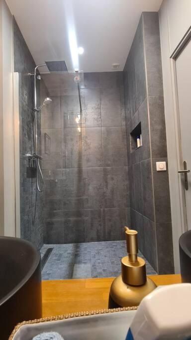 Le Loft De Apartment